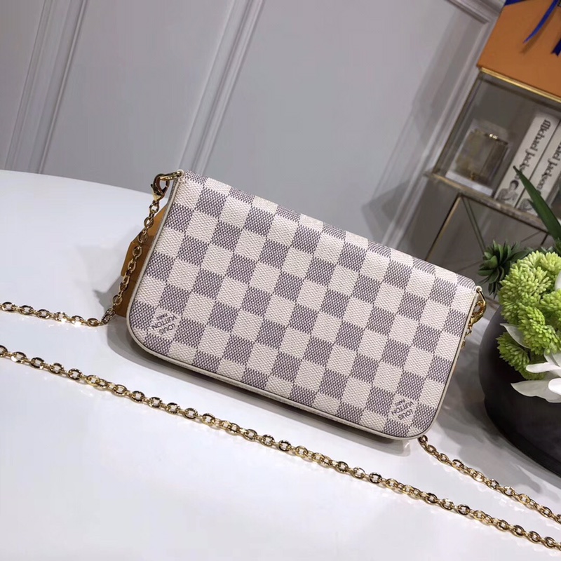 LV Purse